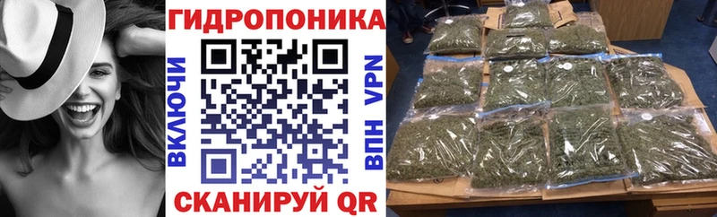 Купить закладку ГАШ  Альфа ПВП  МЕФ  Бошки Шишки  Кокаин  Вилюйск