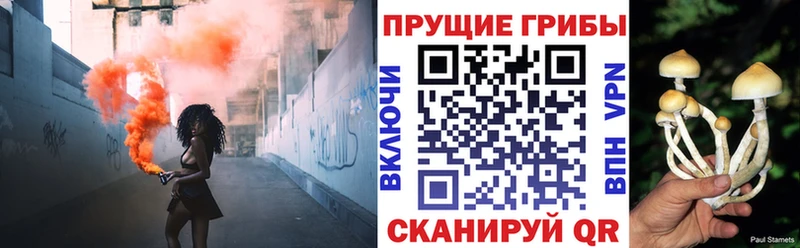 Купить закладки  Вилюйск  Псилоцибиновые грибы Psilocybe 